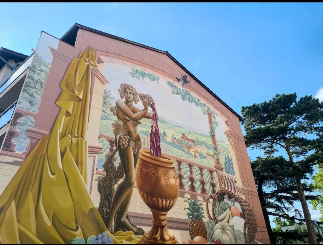 Joli T2 à Villefranche-sur-Saône Exterior foto